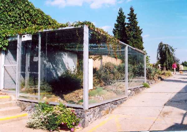 PBZ - Auenexposition - Glasschrank Nr.25 - Sukkulenten und Schwertlilien; foto Jan Myn 09/2004