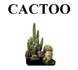 logo Cactoo
