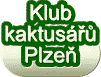 logo Klub kaktusářů Plzeň