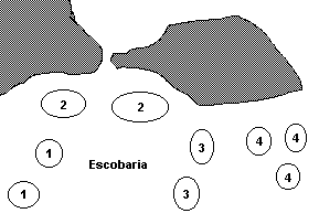 Schema der Arten der Gattung Escobaria